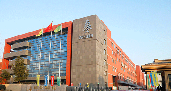 青松集团 青松集团